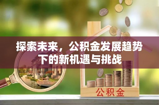 咨询探索未来，公积金发展趋势下的新机遇与挑战