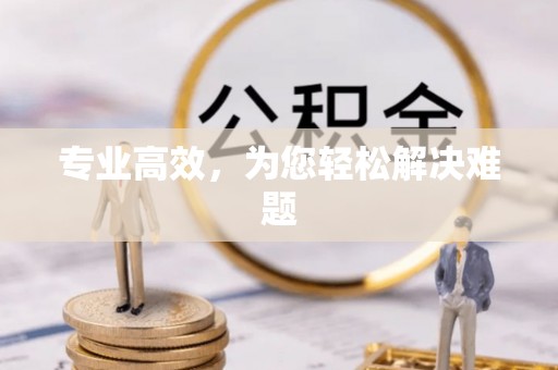 咨询专业高效，为您轻松解决难题