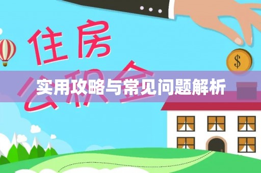 咨询实用攻略与常见问题解析