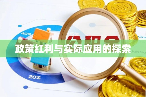 咨询政策红利与实际应用的探索