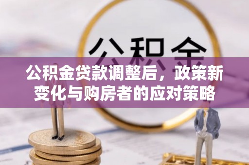 咨询公积金贷款调整后，政策新变化与购房者的应对策略