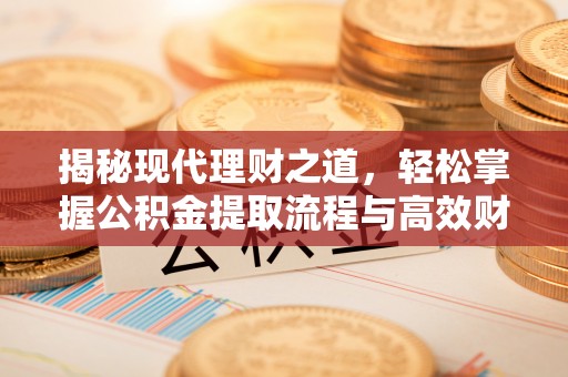 咨询揭秘现代理财之道，轻松掌握公积金提取流程与高效财务规划