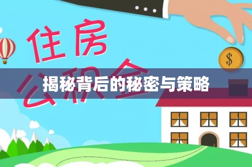 咨询揭秘背后的秘密与策略