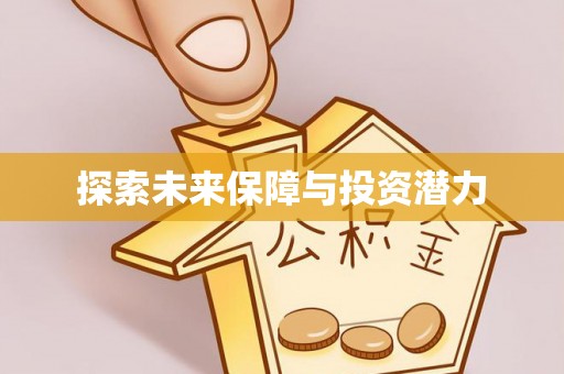 咨询探索未来保障与投资潜力
