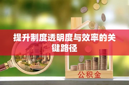 咨询提升制度透明度与效率的关键路径