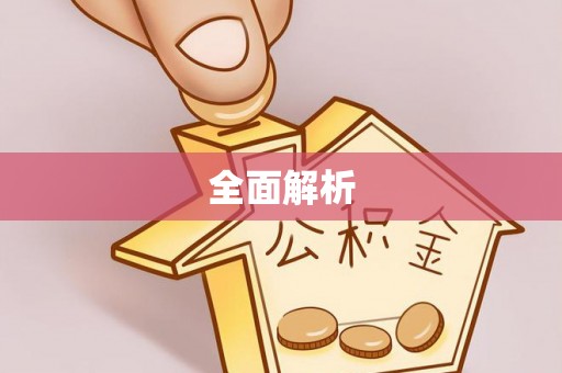 咨询全面解析