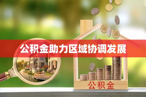 咨询公积金助力区域协调发展