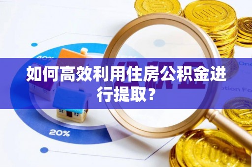 咨询如何高效利用住房公积金进行提取？