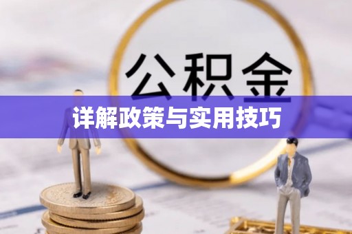 咨询详解政策与实用技巧