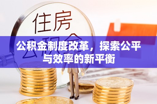 咨询公积金制度改革，探索公平与效率的新平衡