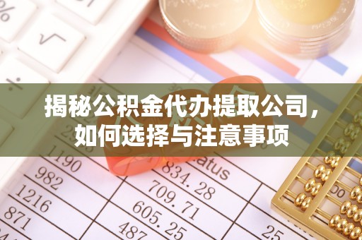 咨询揭秘公积金代办提取公司，如何选择与注意事项