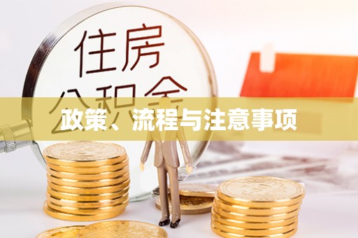 咨询政策、流程与注意事项