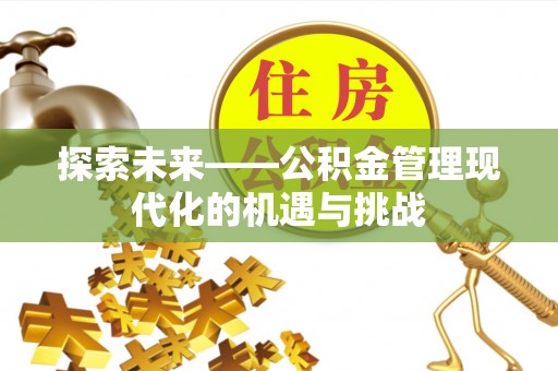 咨询探索未来——公积金管理现代化的机遇与挑战