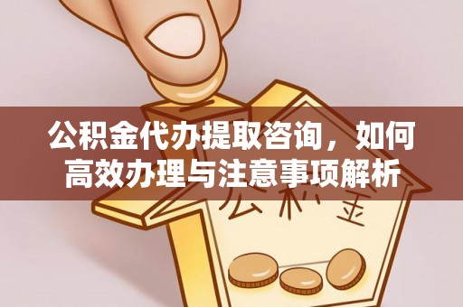 咨询公积金代办提取咨询，如何高效办理与注意事项解析