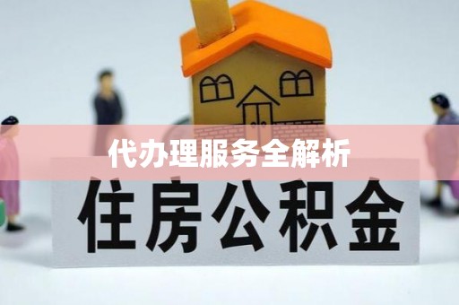 咨询代办理服务全解析
