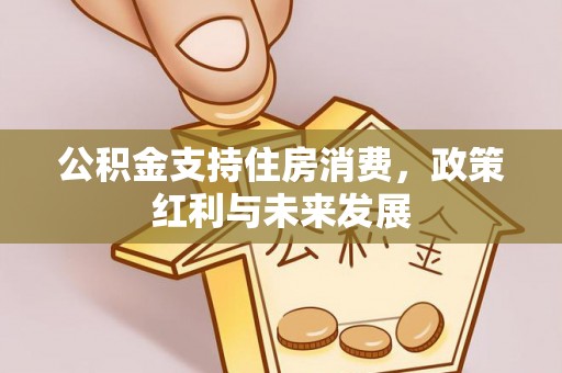 咨询公积金支持住房消费，政策红利与未来发展