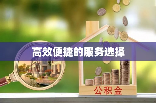 咨询高效便捷的服务选择