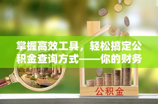 咨询掌握高效工具，轻松搞定公积金查询方式——你的财务助手