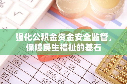 咨询强化公积金资金安全监管，保障民生福祉的基石