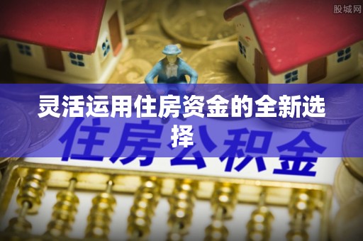 咨询灵活运用住房资金的全新选择